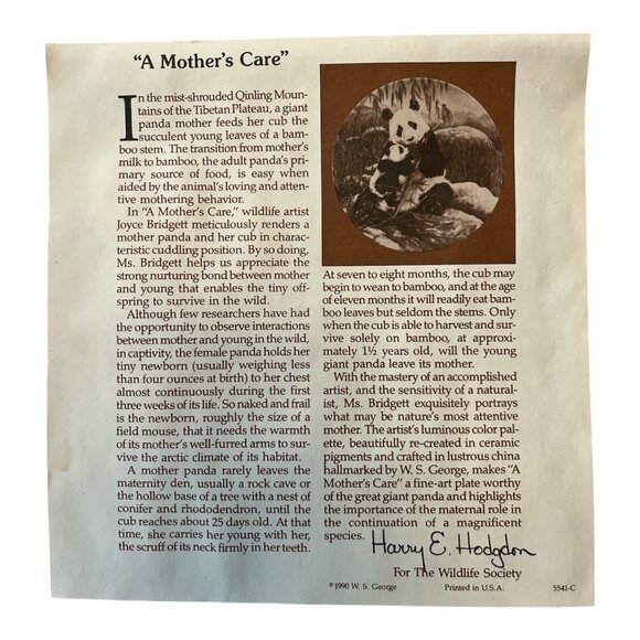 VTG 1990 Joyce Bridgett Panda Collector Plate “A Mother’s Care” W\.S. George w/C - Picture 4 of 8